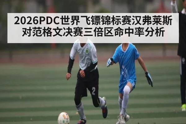 2026PDC世界飞镖锦标赛汉弗莱斯对范格文决赛三倍区命中率分析