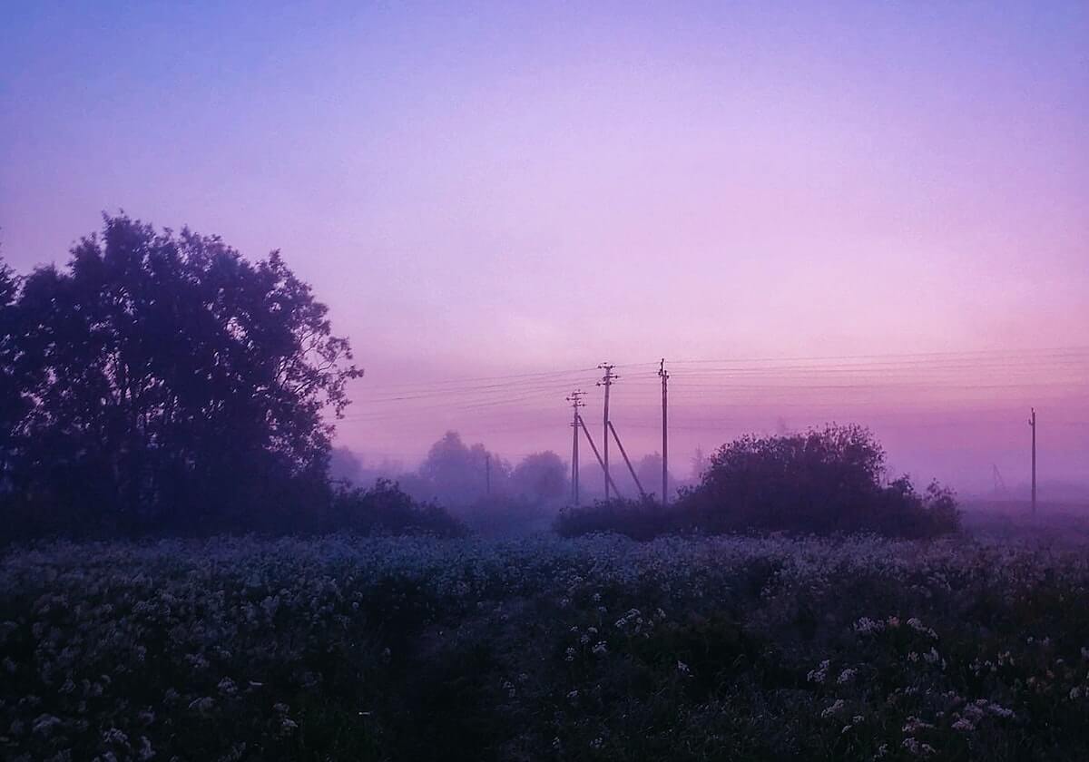 168彩票开奖网_APP下载_彩票查询_彩票走势图_福彩3D_体彩开奖查询_双色球历史查询-【美洲杯】内马尔妙助帕奎塔破门 巴西1比0挺进决赛